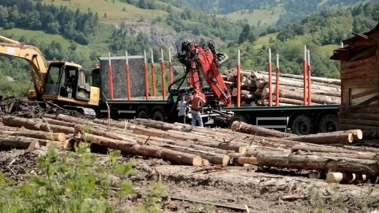 Wood (2022)