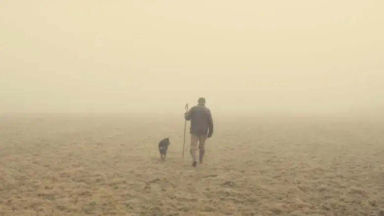 The Old Man and the Land (2024)