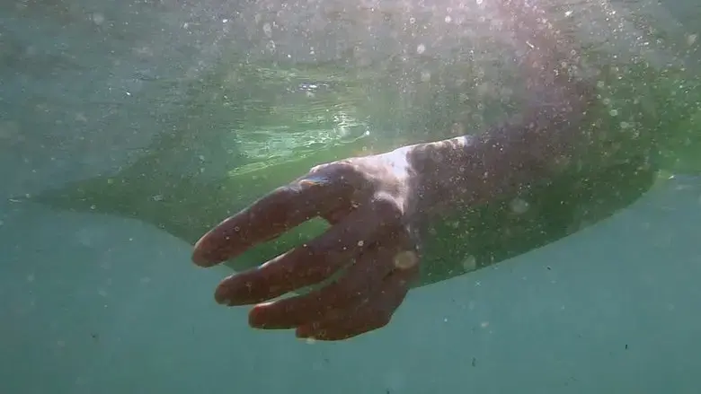 Depredadores sobre el mar (2025)