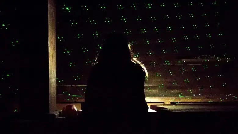 La disco resplandece (2016)