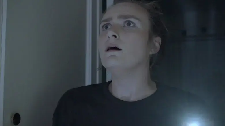 The Visitors (2023)