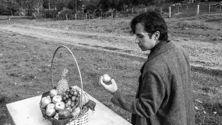 Xadrez Espelhado (2021)