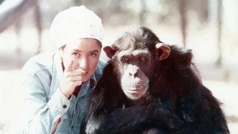 Lucy, the Human Chimp (2021)