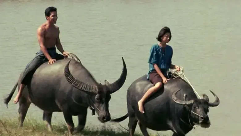 Kwan Riam (2001)