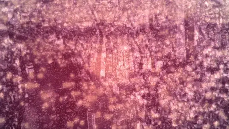 Generator (2012)