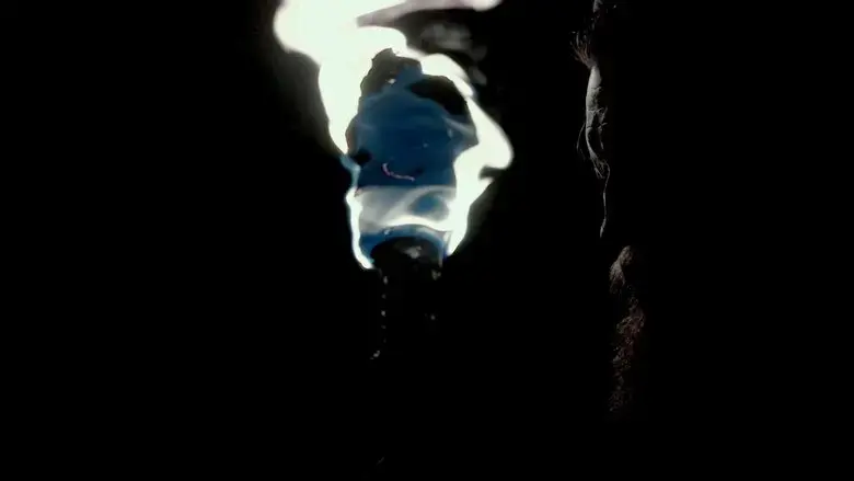 Shadows of Light (2020)