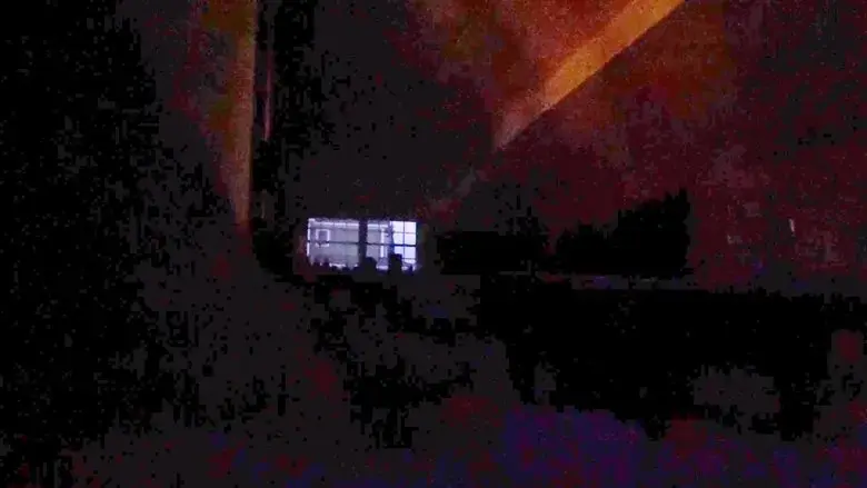 Fox.exe (2022)