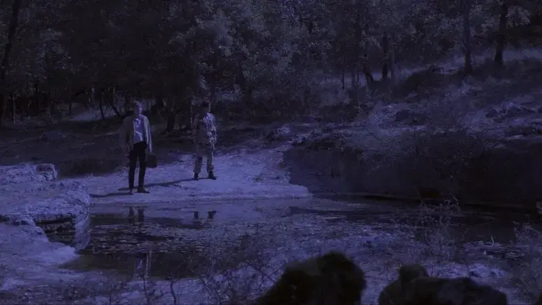 We Walked on Earth (2019)