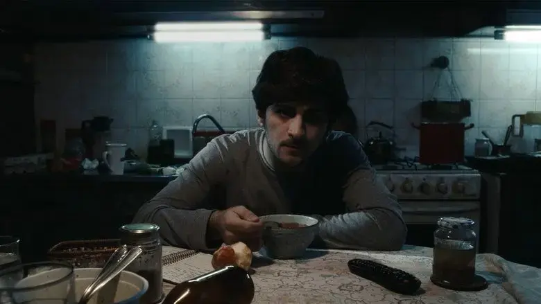 Damp (2024)
