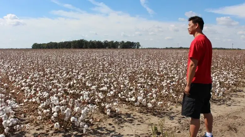 Far East Deep South (2020)