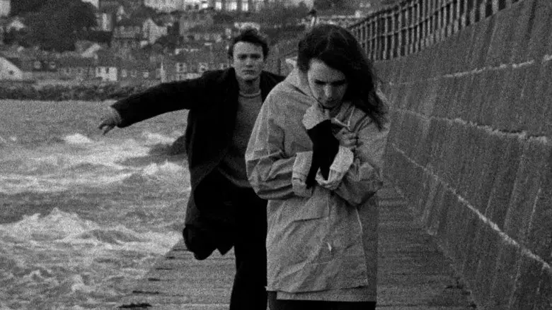 Hard, Cracked the Wind (2019)