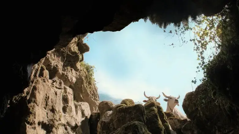 The Hole (2021)