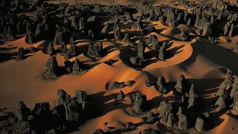 Algerie from Above (2015)