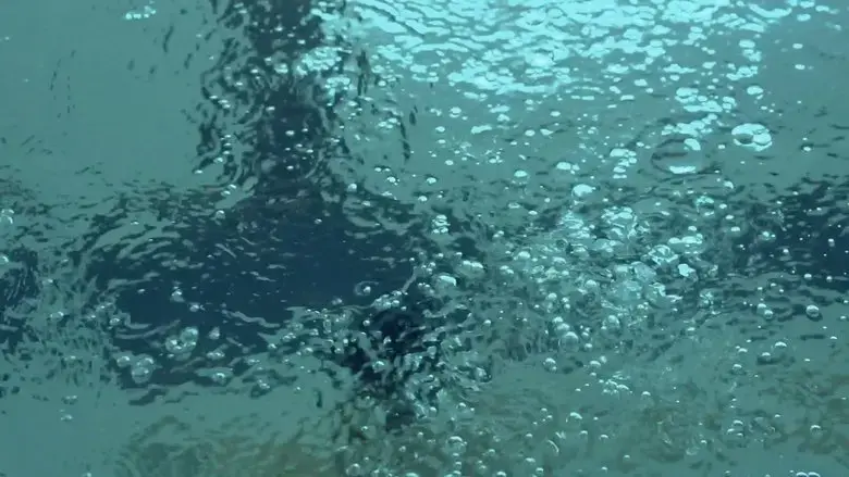 Swimming Through (2022)