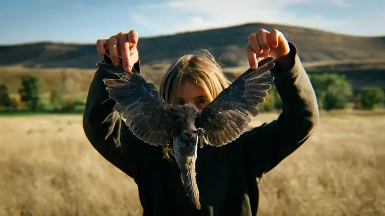 Bird Dog (2017)