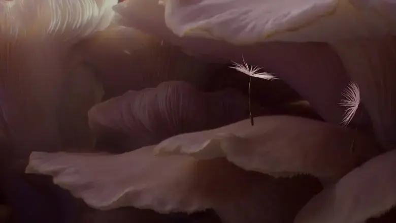 Dandelion's Odyssey (2026)
