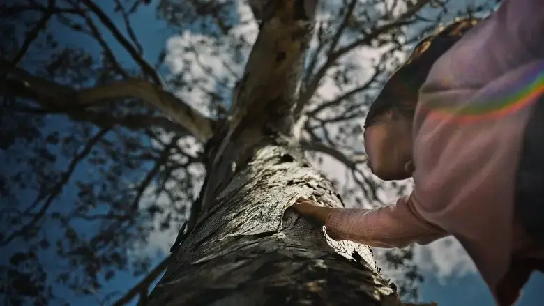 The Skeleton Tree (2025)