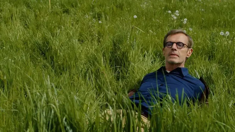 5 hectares (2023)
