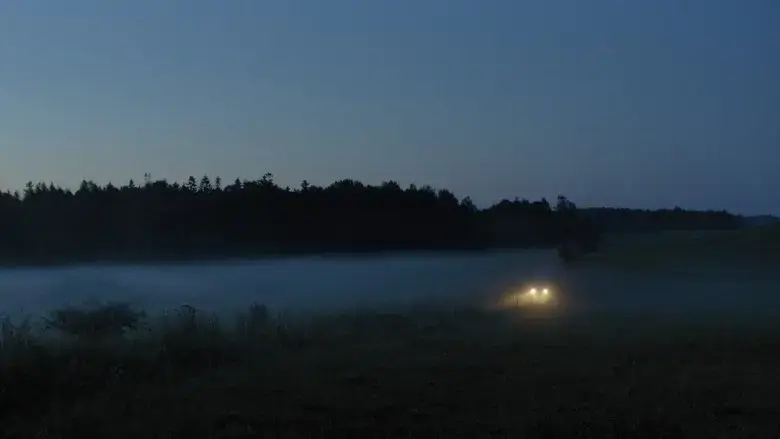The Dreams Of Lonely People (2021)