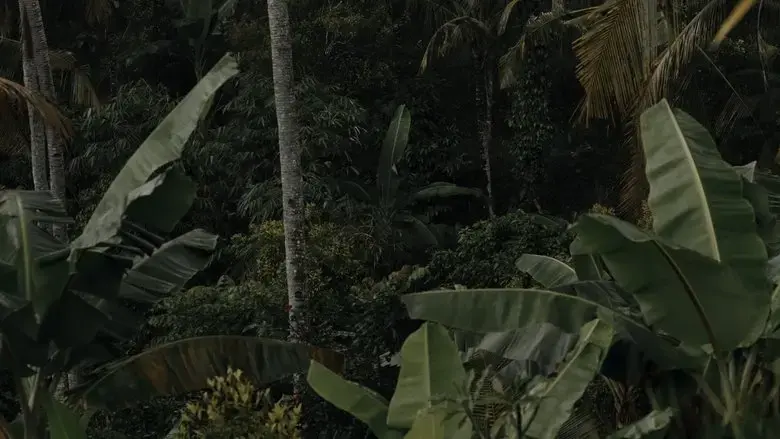 Possibility of Paradise (2024)