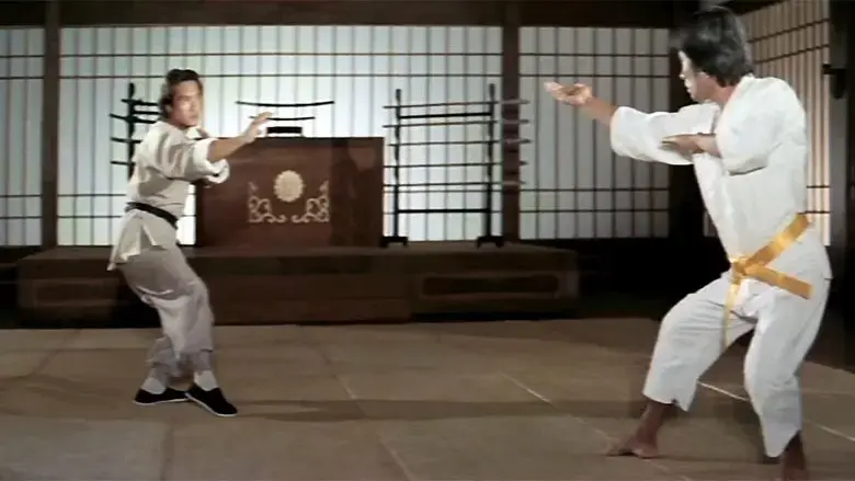 Legend of a Fighter (1982)