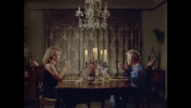 Calamity Jane & Delphine Seyrig: A Story (2020)