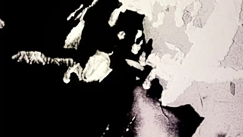 You're a Shadow (2025)