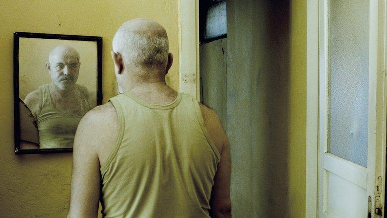 I Am Not Him (2013)