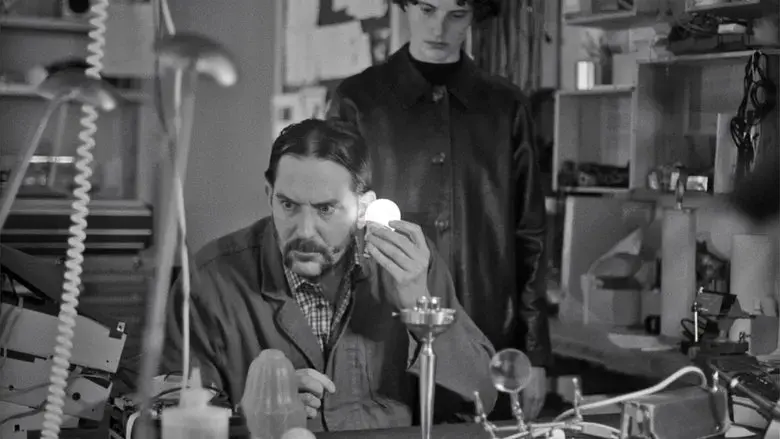 Electric Fields (2024)