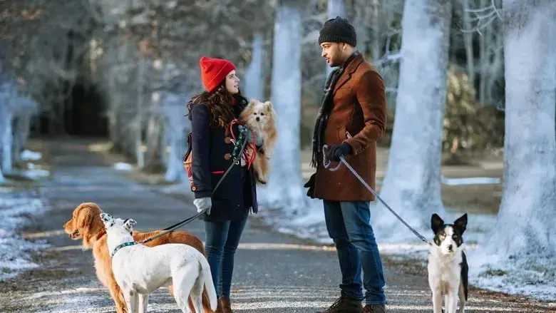 The Dog Days of Christmas (2022)