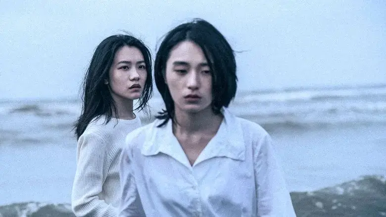 Who'll Stop the Rain (2023)