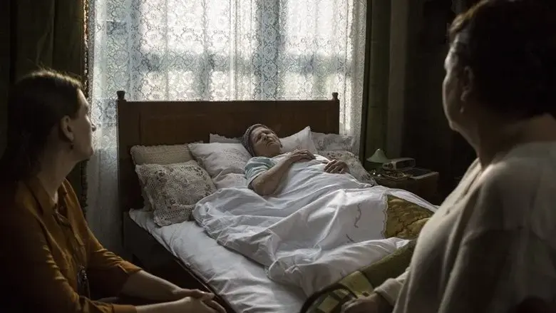 Focus, Grandma (2020)