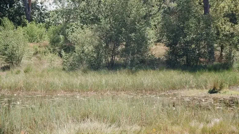 En Plein Air (2022)