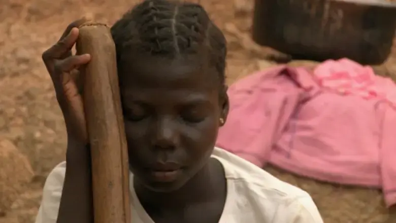 Cahier africain (2016)