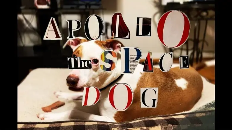 Apollo: The Space Dog (2024)