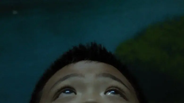 Hiwa (2016)