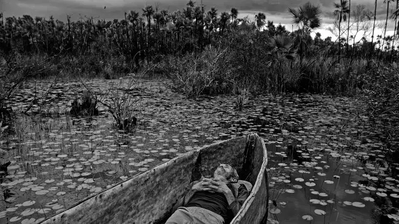 To the West, in Zapata (2025)