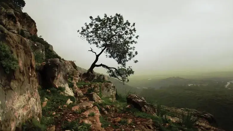Is Mindfulness Right for You? (2021)