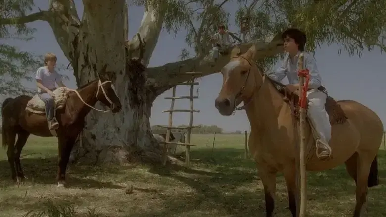 Summer of the Colt (1991)
