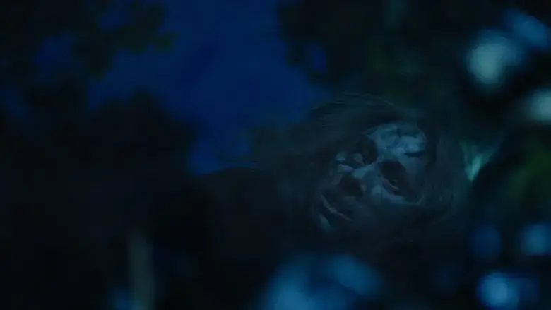 Wilderness (2024)