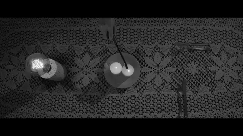 White Picket Fence (2024)