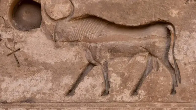 Les animaux sacres de l'Egypte ancienne (2018)