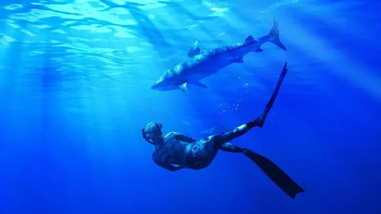 Maui Shark Mystery (2022)