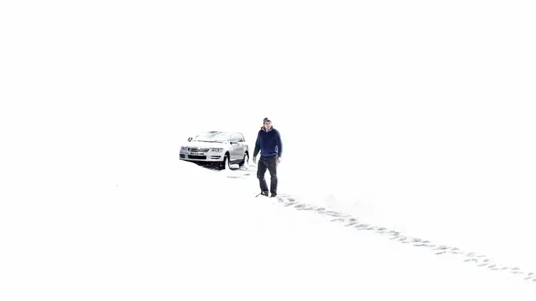 Only the Animals (2019)