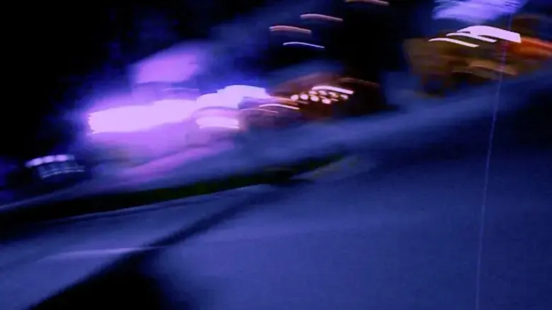 Uma Noite Bicheira (2024)