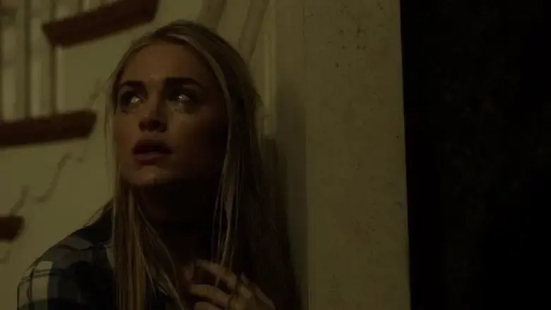 House of the Witch (2017)
