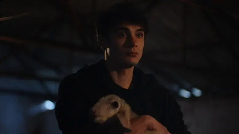 Meat (2024)