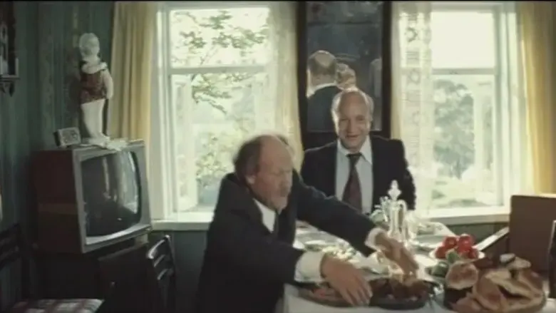 Polyot s kosmonavtom (1980)
