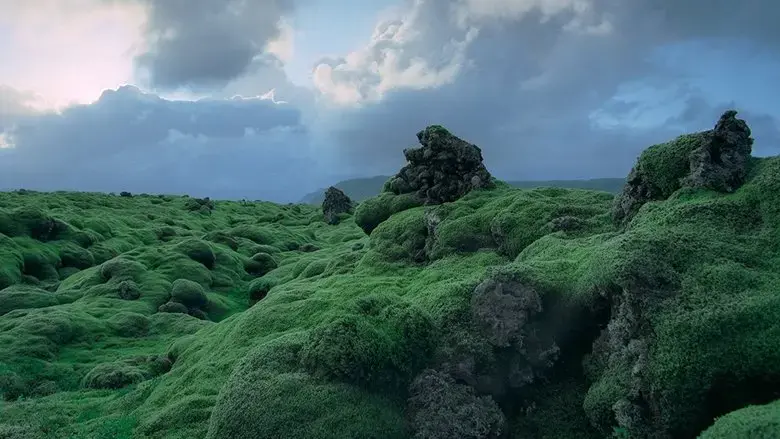 Voyage of Time (2016)