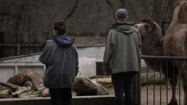 The Camel (2016)